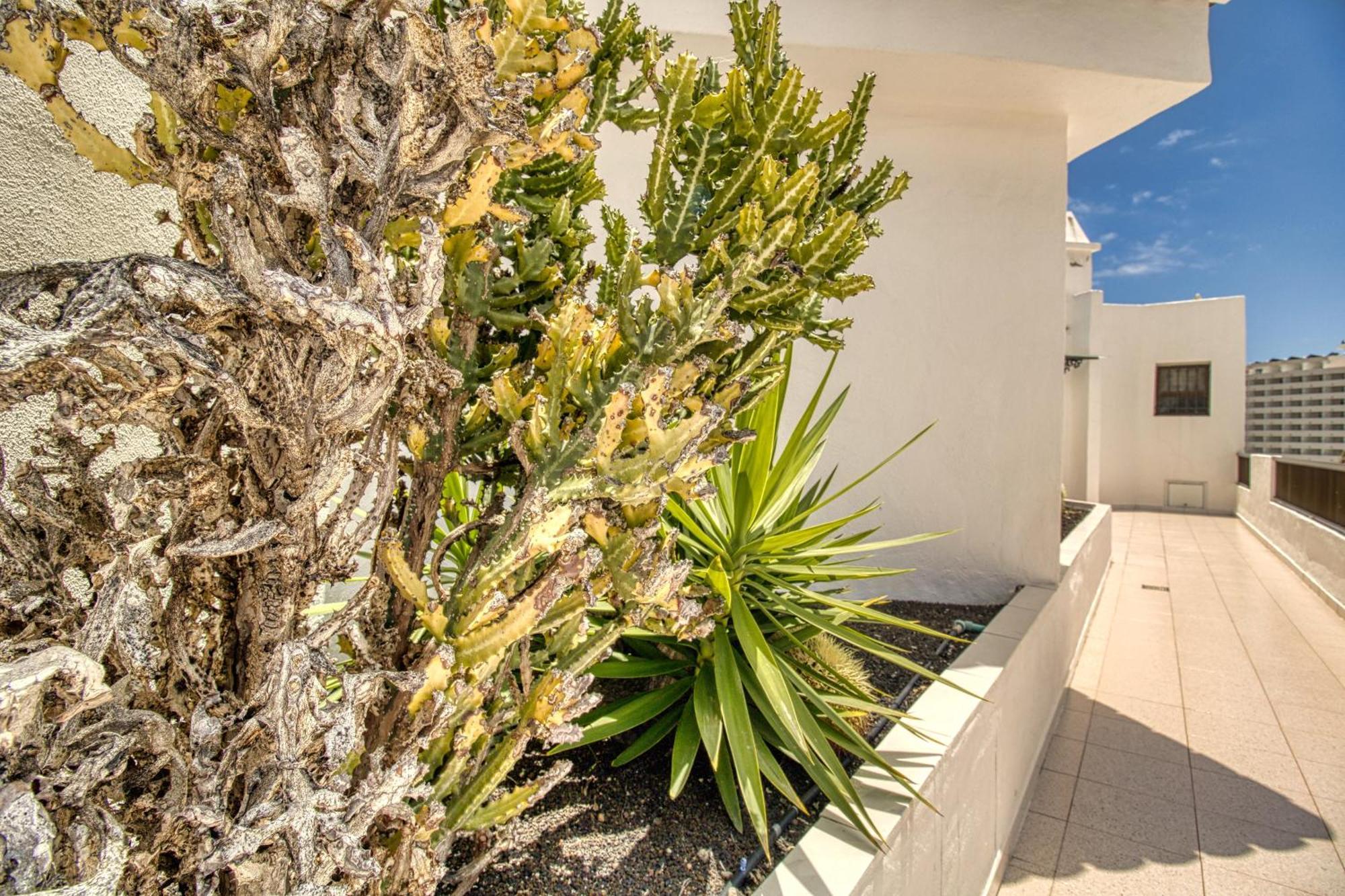 Appartamento Penthouse Sea View Jacuzzy Terrace & Pool Playa Feñabe Esterno foto