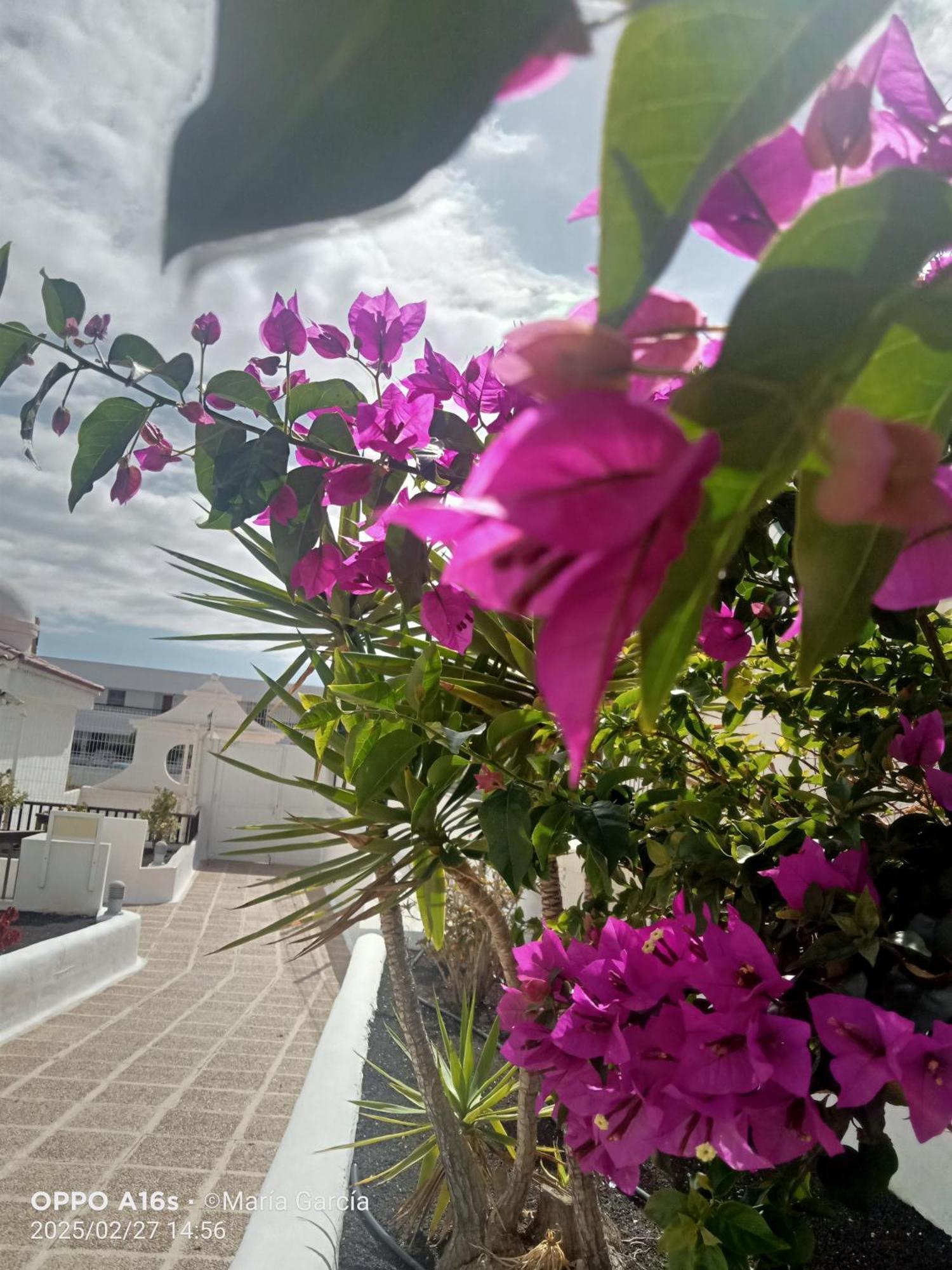 Appartamento Penthouse Sea View Jacuzzy Terrace & Pool Playa Feñabe Esterno foto